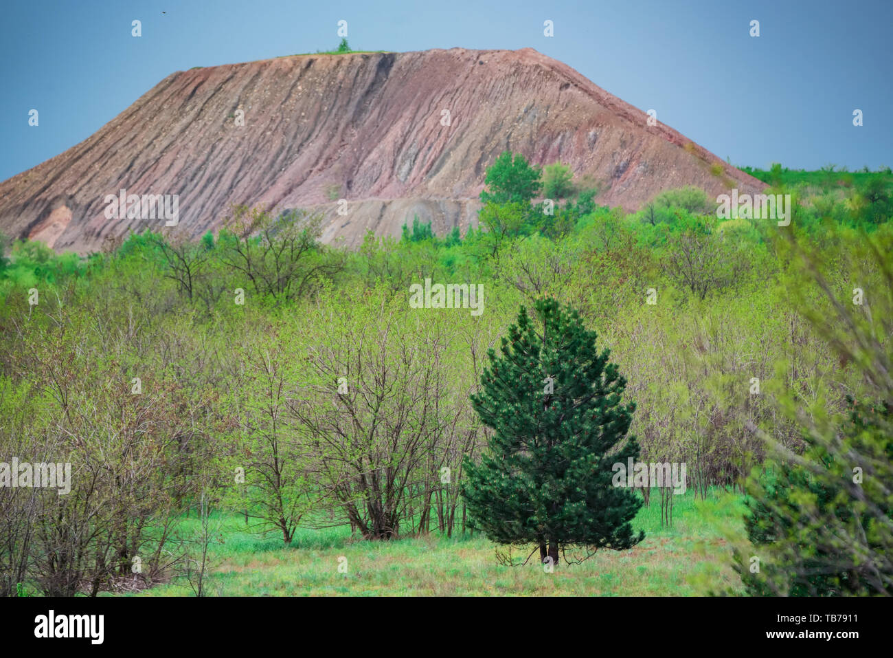 Blick auf Beute Tipp in Grün steppe Stockfoto