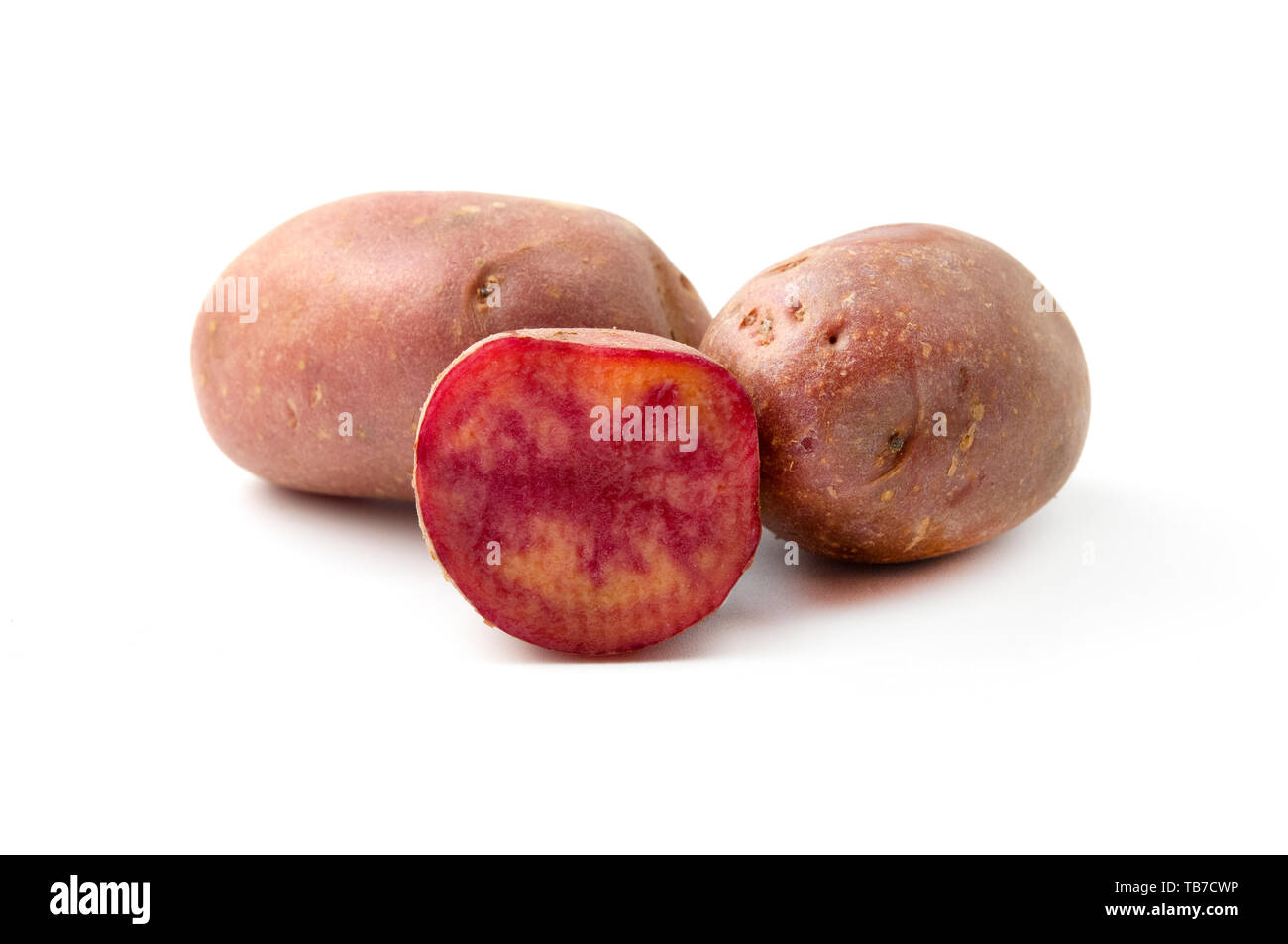 Lily Rose Kartoffeln (Solanum tuberosum) auf weißem Hintergrund Stockfoto