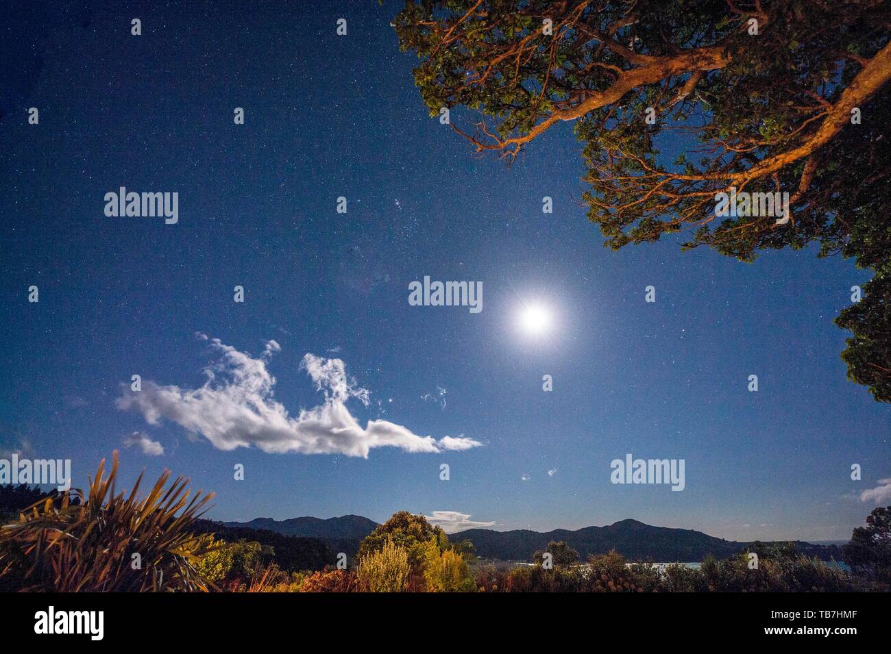 Night Shot mit vollen Mond und Sterne am East Cape, Gisborne, North Island, Neuseeland Stockfoto