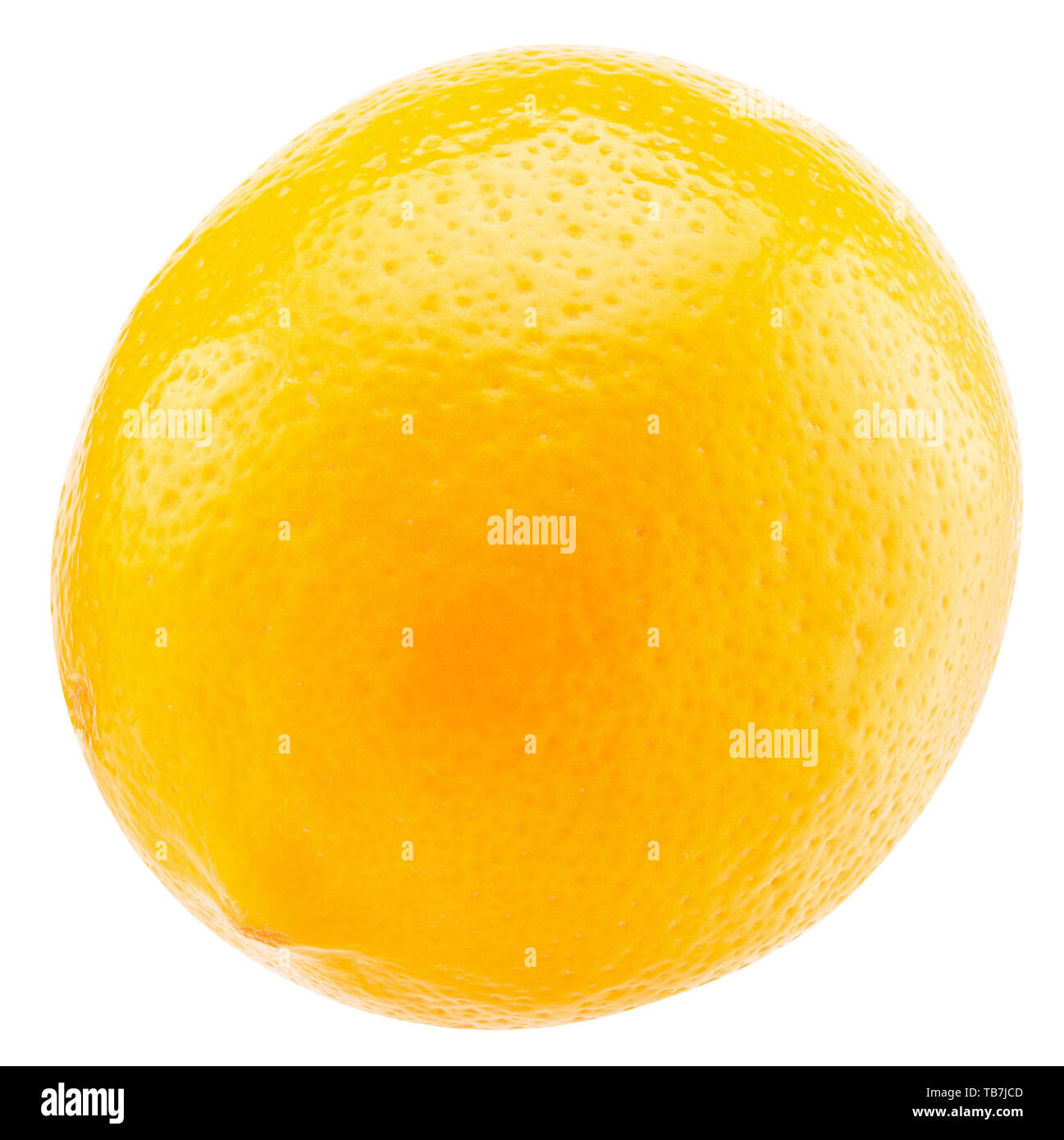 Zitrone isoliert auf einem weißen Hintergrund. Stockfoto