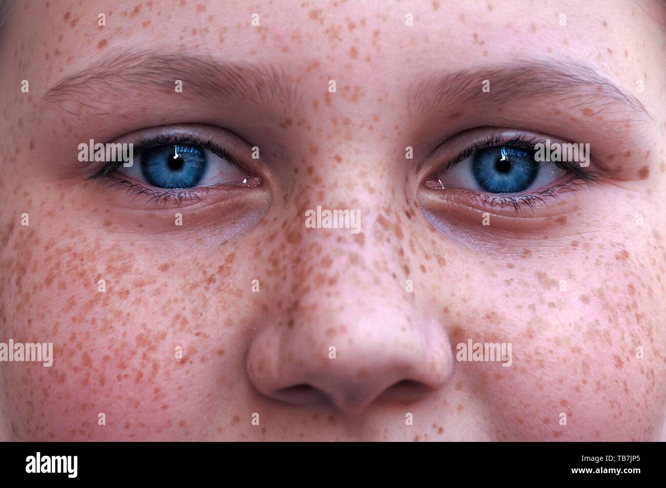 Augen und Nase von einem Mädchen, 12 Jahre alt, mit Sommersprossen, Nahaufnahme, Baden-Württemberg, Deutschland Stockfoto