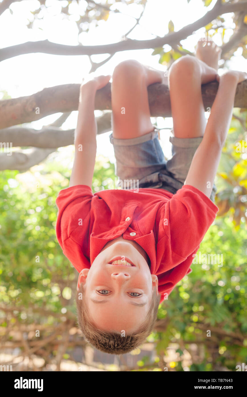 Portrait von unbeschwerte Junge kopfüber an einem Baum in einem Park genießen Sommer hängen Stockfoto