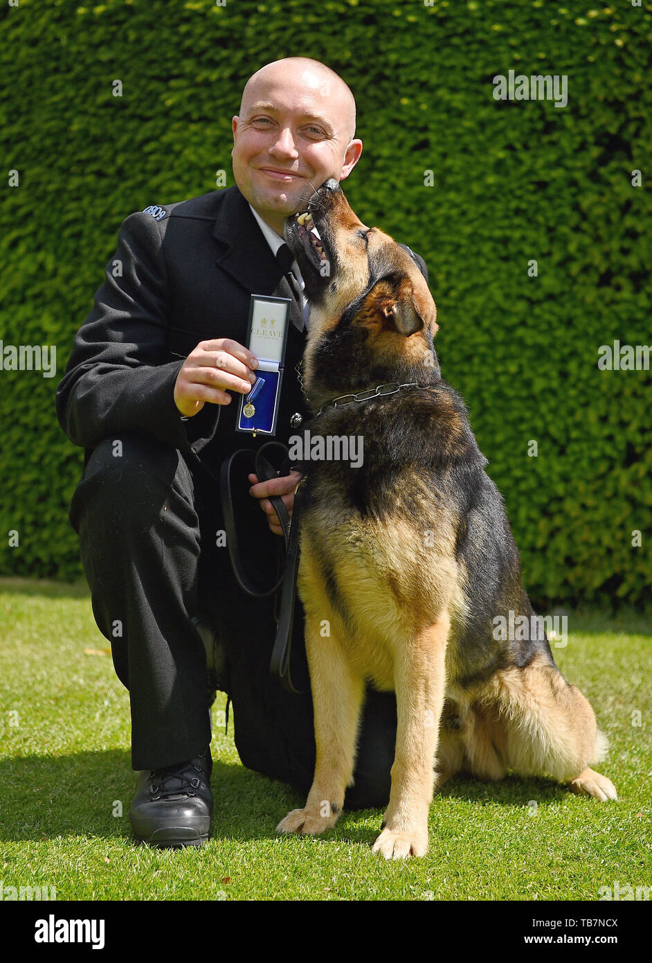 Polizei hund Marci, mit seinem handler PC Neil Billany, an der Honourable Artillery Company in London, die die PDSA Verdienstordens. Neunzehn Helden Polizei Hunde sind eine Auszeichnung für die Hilfe Notdienste während der 2017 London Terroranschläge auf die Westminster Bridge, London Bridge und Borough Market. Stockfoto