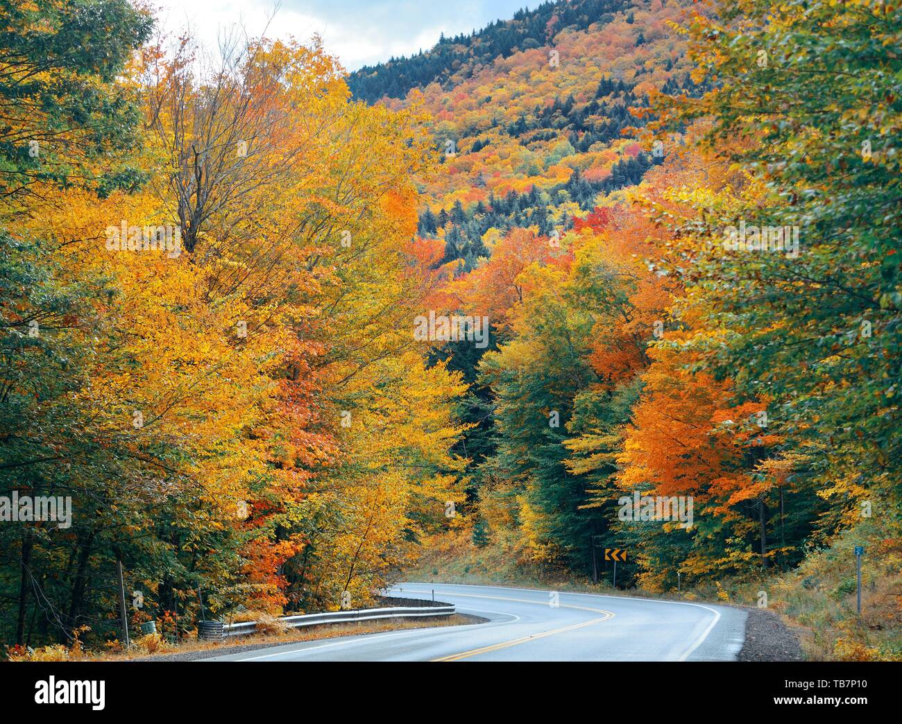 Autobahn und im Herbst Laub in den Weißen Berg. Stockfoto