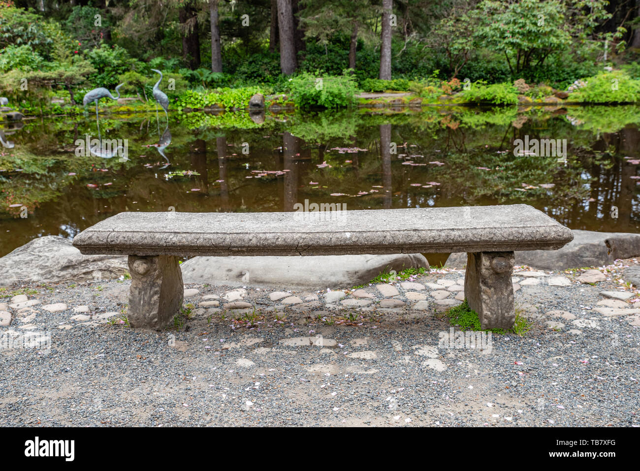 Sitzbank mit Blick auf den Seerosenteich in Shore Acres State Park, Coos Bay, Oregon Stockfoto