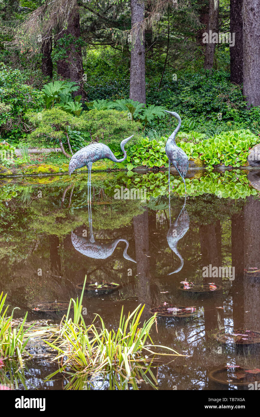 Metall Reiher stehend im Seerosenteich bei Shore Acres State Park, Coos Bay, Oregon Stockfoto