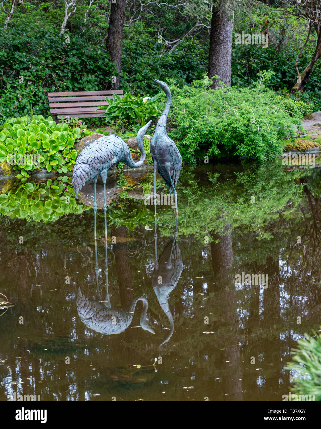 Metall Reiher stehend im Seerosenteich bei Shore Acres State Park, Coos Bay, Oregon Stockfoto