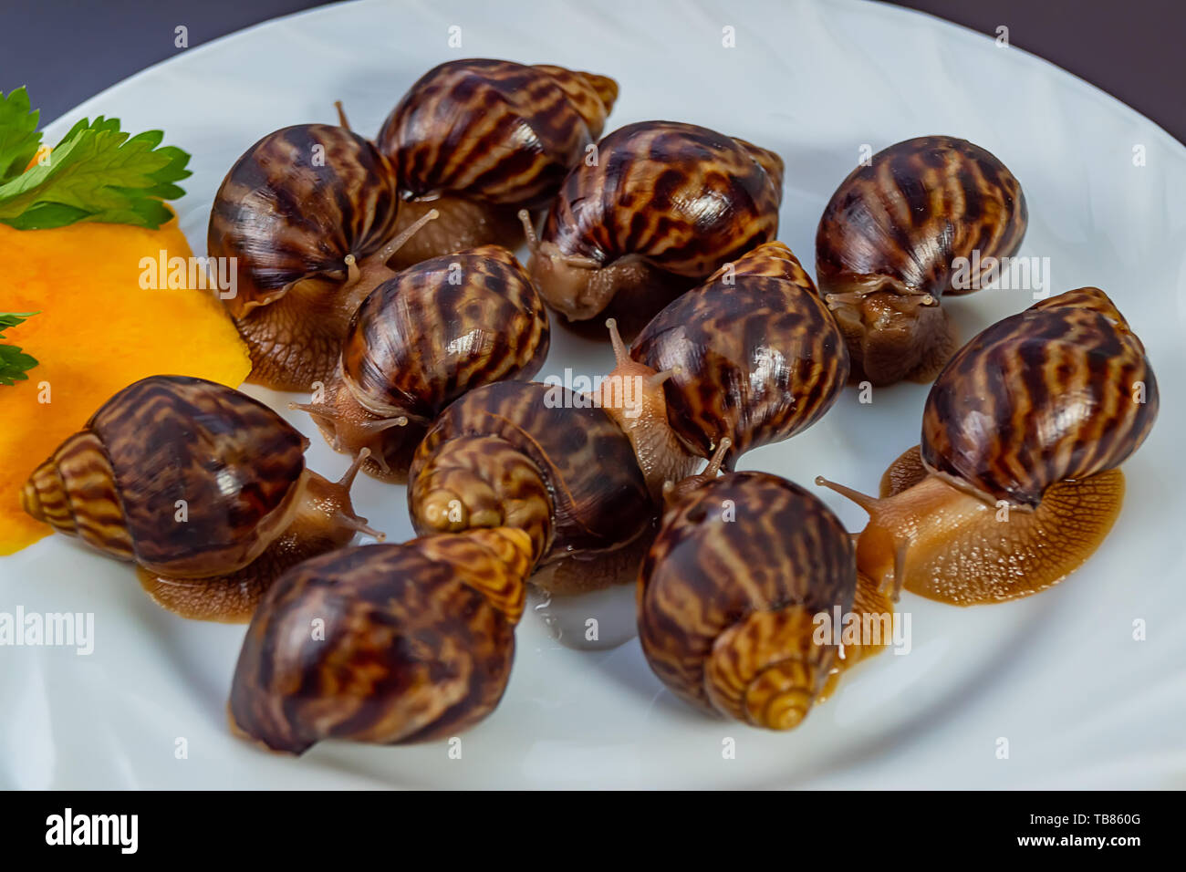 Traube Schnecken, akhatina, auf einer Platte, wie roh essen, eine rawism und als ein köstliches Gericht Stockfoto