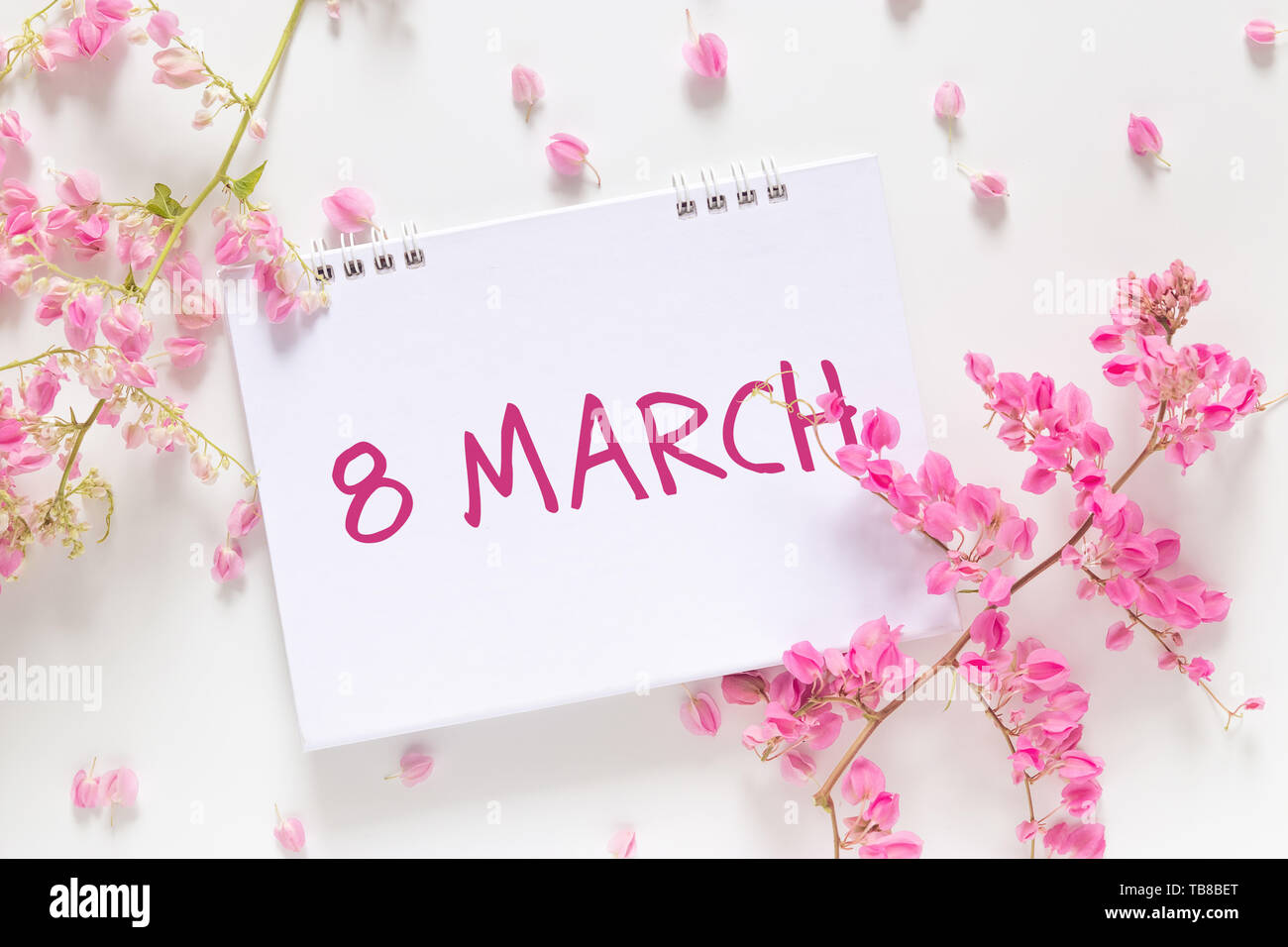 Internationaler Tag der Frau. Flach von leeren Kalender mit den Worten 'March 8' schmücken mit rosa Blume auf weißem Hintergrund Stockfoto