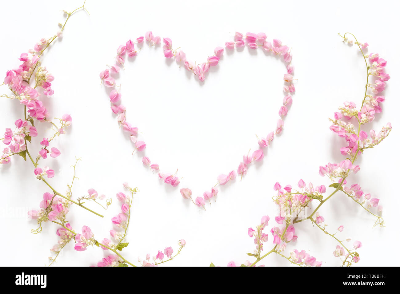 Flach von floralen Herz aus Blüten Rosa auf weißem Hintergrund mit rosa Blume Grenze Rahmen isoliert, Ansicht von oben. Blüte kreative Zusammensetzung Stockfoto