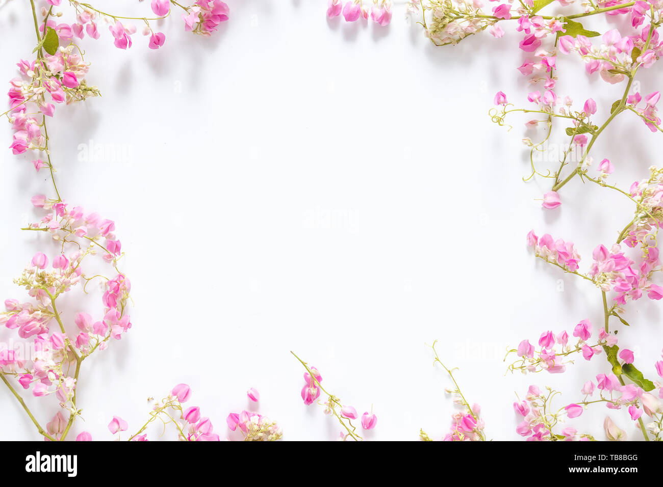 Platz Grenze Rahmen mit rosa Blume, Äste und Blätter auf weißem Hintergrund mit Kopie Raum isoliert. Flach, Ansicht von oben Stockfoto