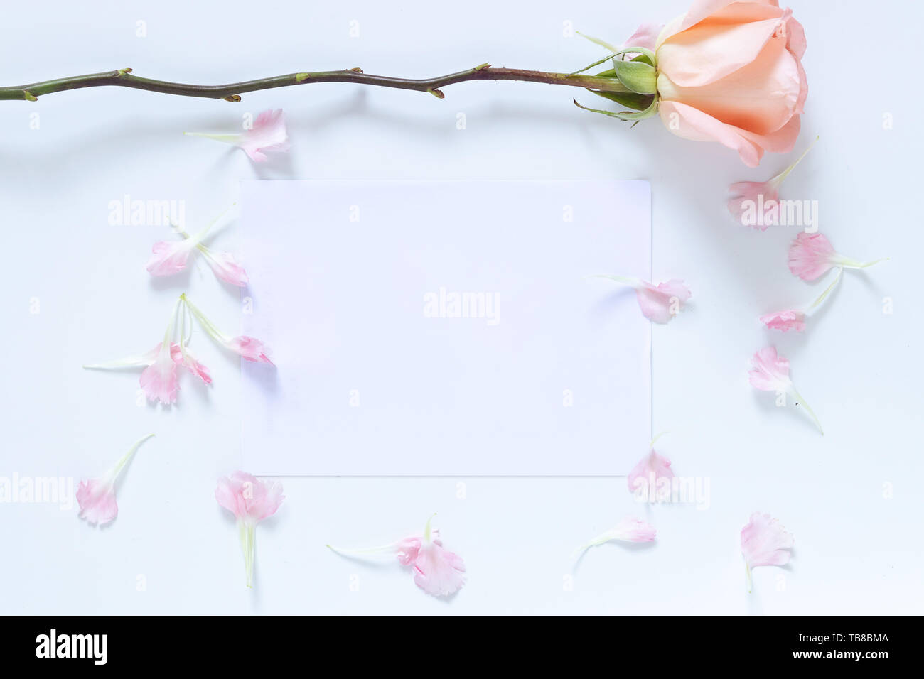 Mock up Einladungskarte mit Rose und rosa Blume Blütenblatt als Grenze Rahmen. leer leere weiße Karte mit Kopie Raum Stockfoto