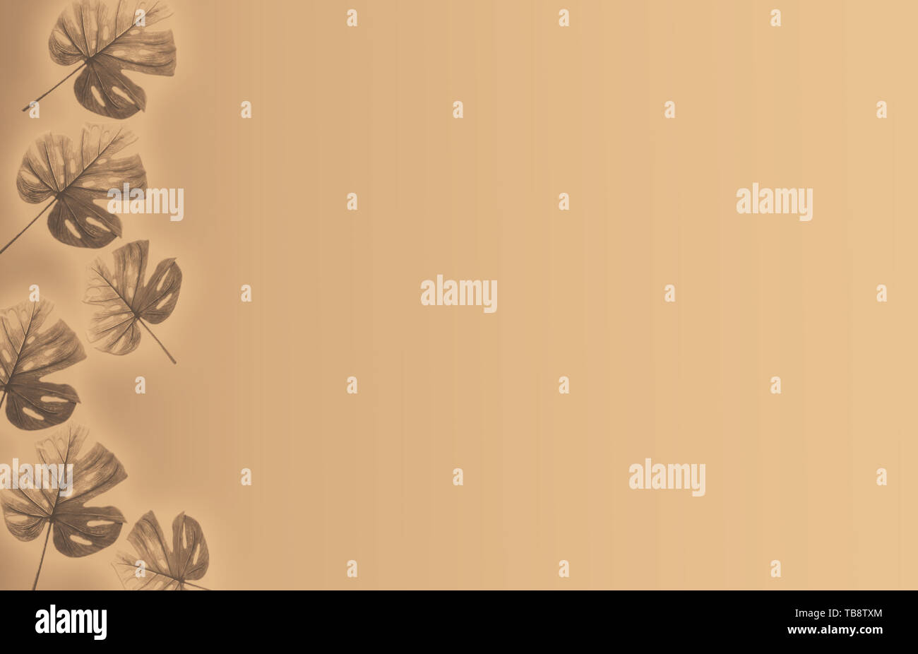 Tropische Blätter Hintergrund Sepia Farbe, Raum für Text Stockfoto