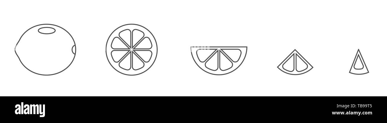 Kalk. Übersicht thin line, Cut Kalk mit Scheiben auf weißem Hintergrund Vektor-illustration isoliert Stock Vektor