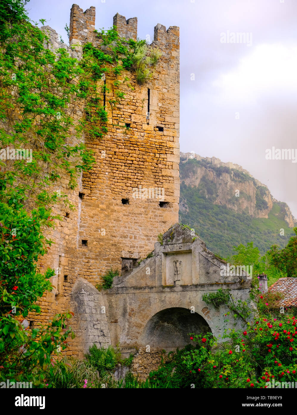 Weinstock Turm mit Efeu Pflanzen- und Krypta mit Rosen schloss Ninfa Stockfoto