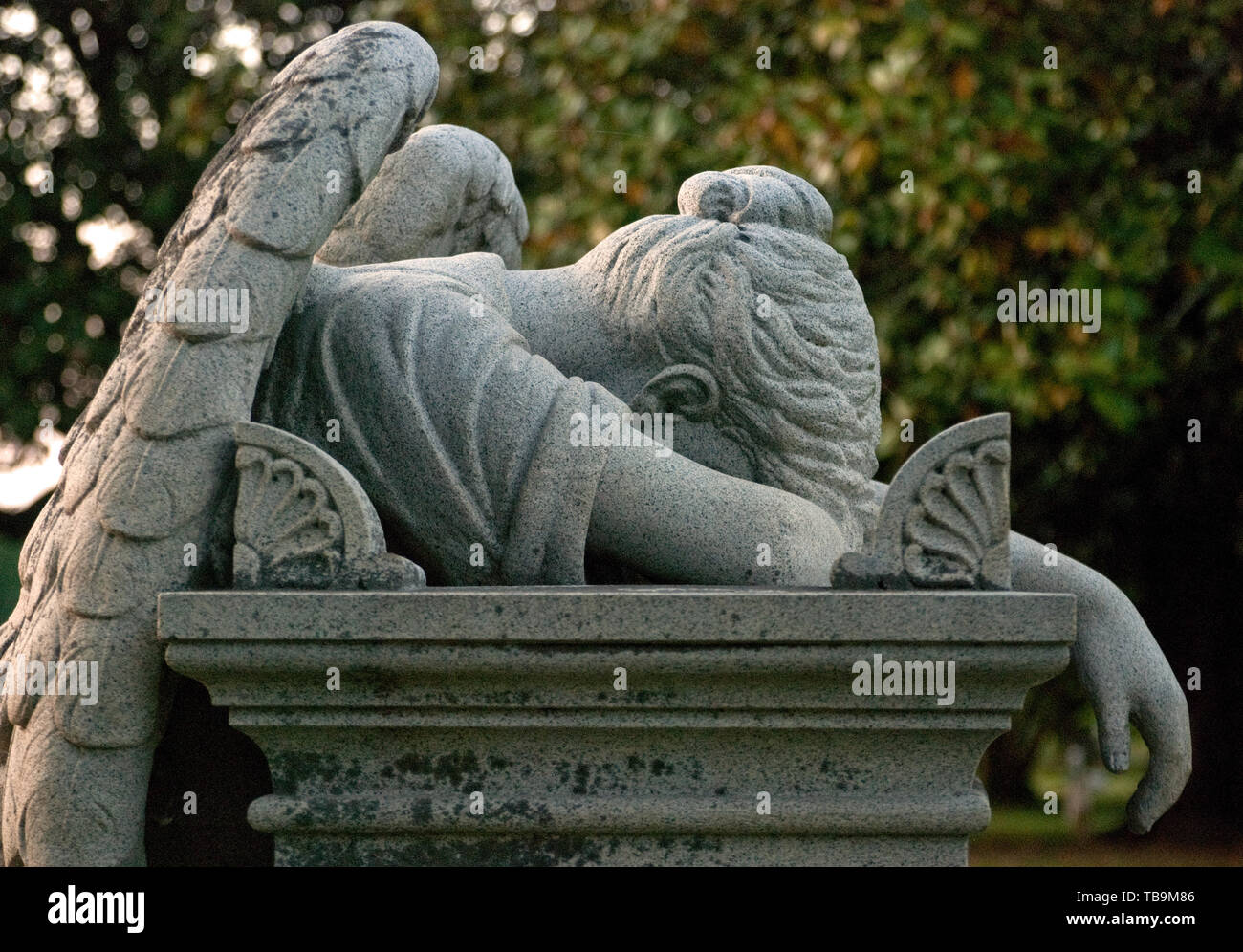 Eine Statue eines weinenden Engel ziert das Grab von Pfr. Robert Wroclaw in Freundschaft Friedhof in Columbus, Mississippi, 21. April 2010. Stockfoto Eine Statue eines weinenden Engel ziert das Grab von Pfr. Robert Wroclaw in Freundschaft Friedhof in Columbus, Mississippi, 21. April 2010. Stockfoto