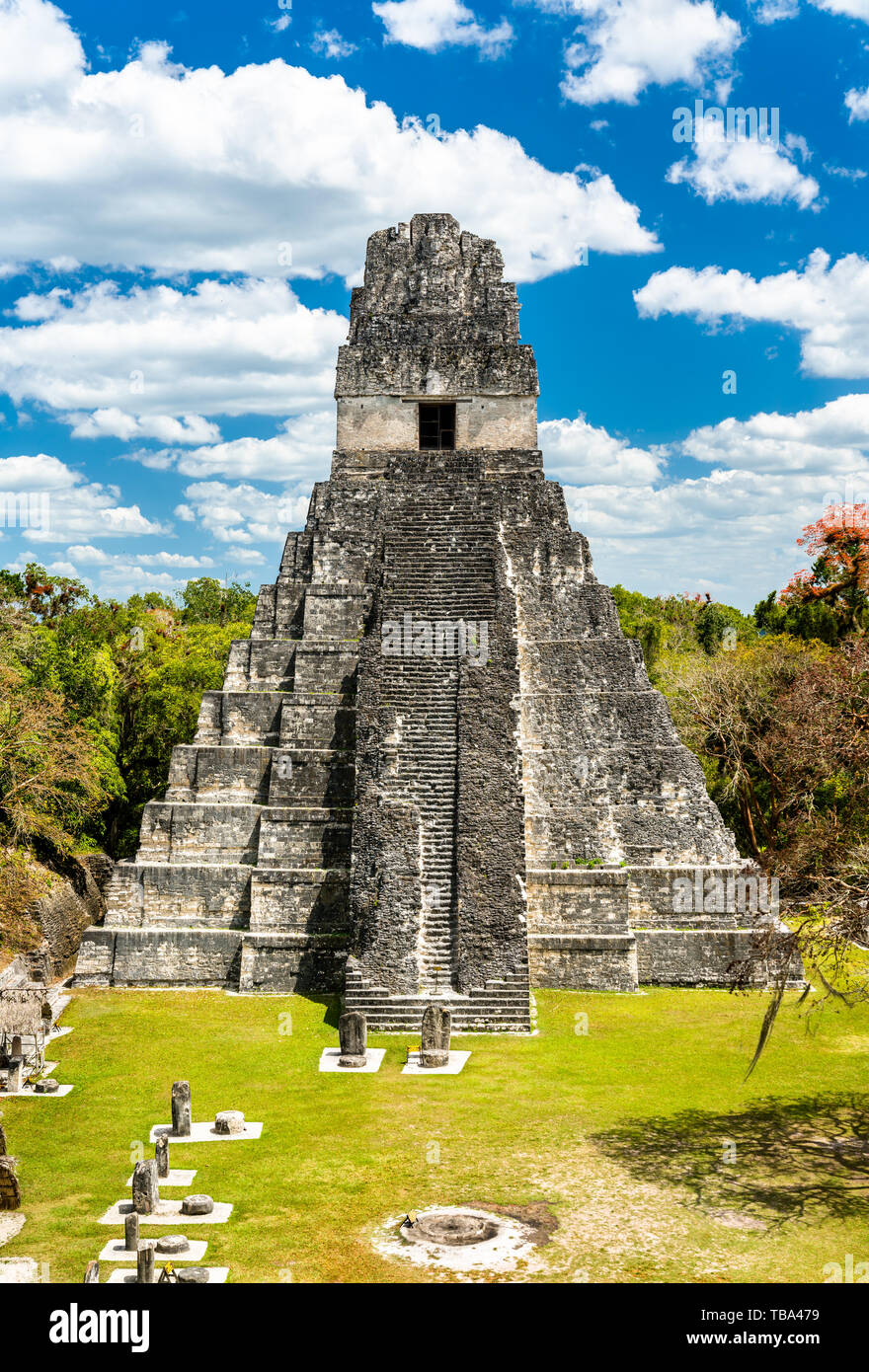 Tempel der Großen Jaguar in Tikal in Guatemala. Stockfoto