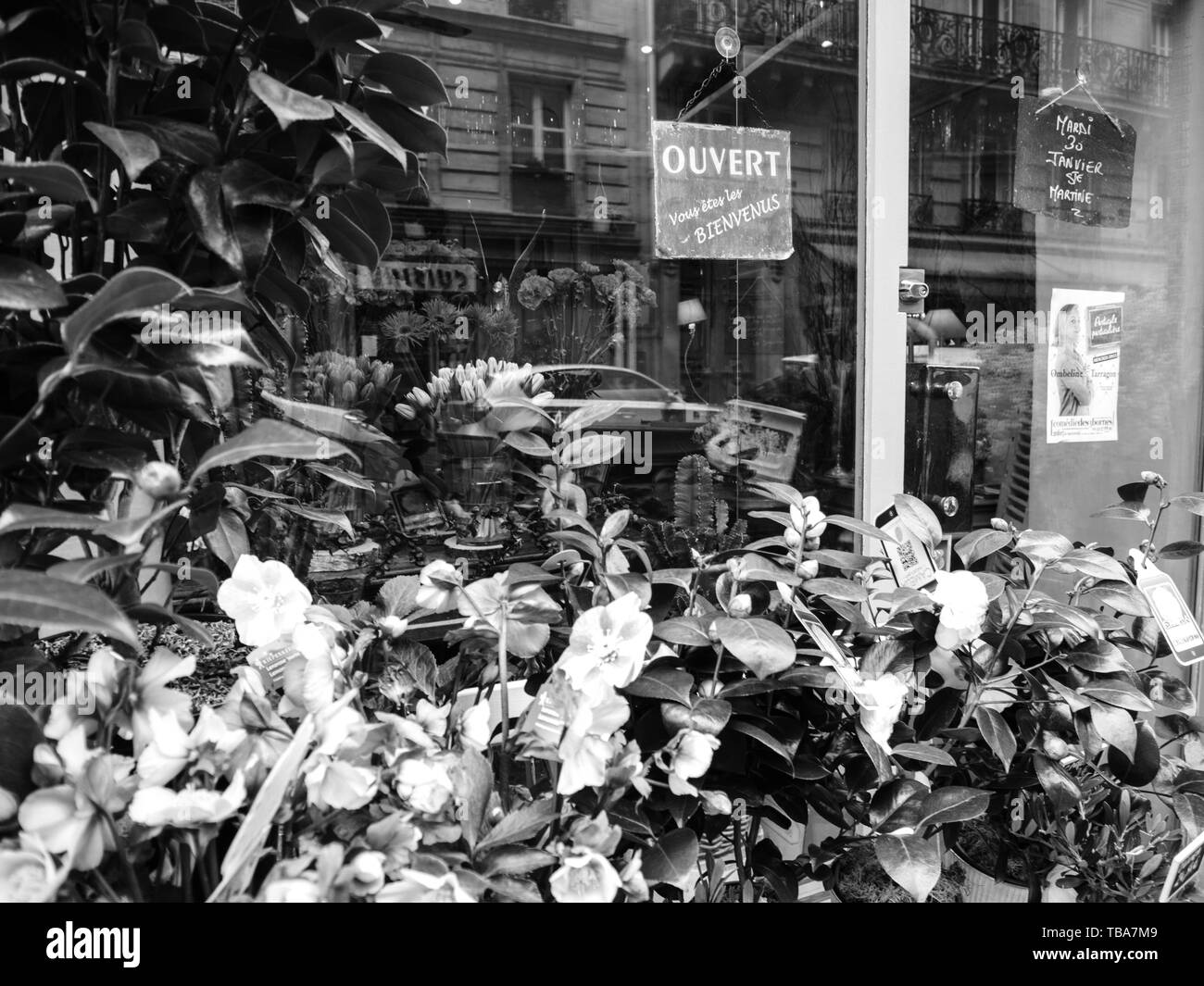 Paris, Frankreich - 30.01.2018: Französisch Florist Shop Fassade Blick von der Straße verkaufen vielfältige Art der Blumensträuße Blumen - Schwarz und Weiß Stockfoto