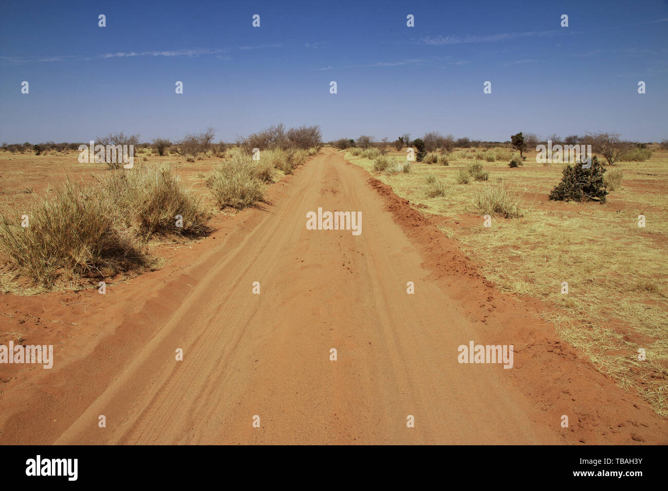 Wüste des Sudan Stockfoto