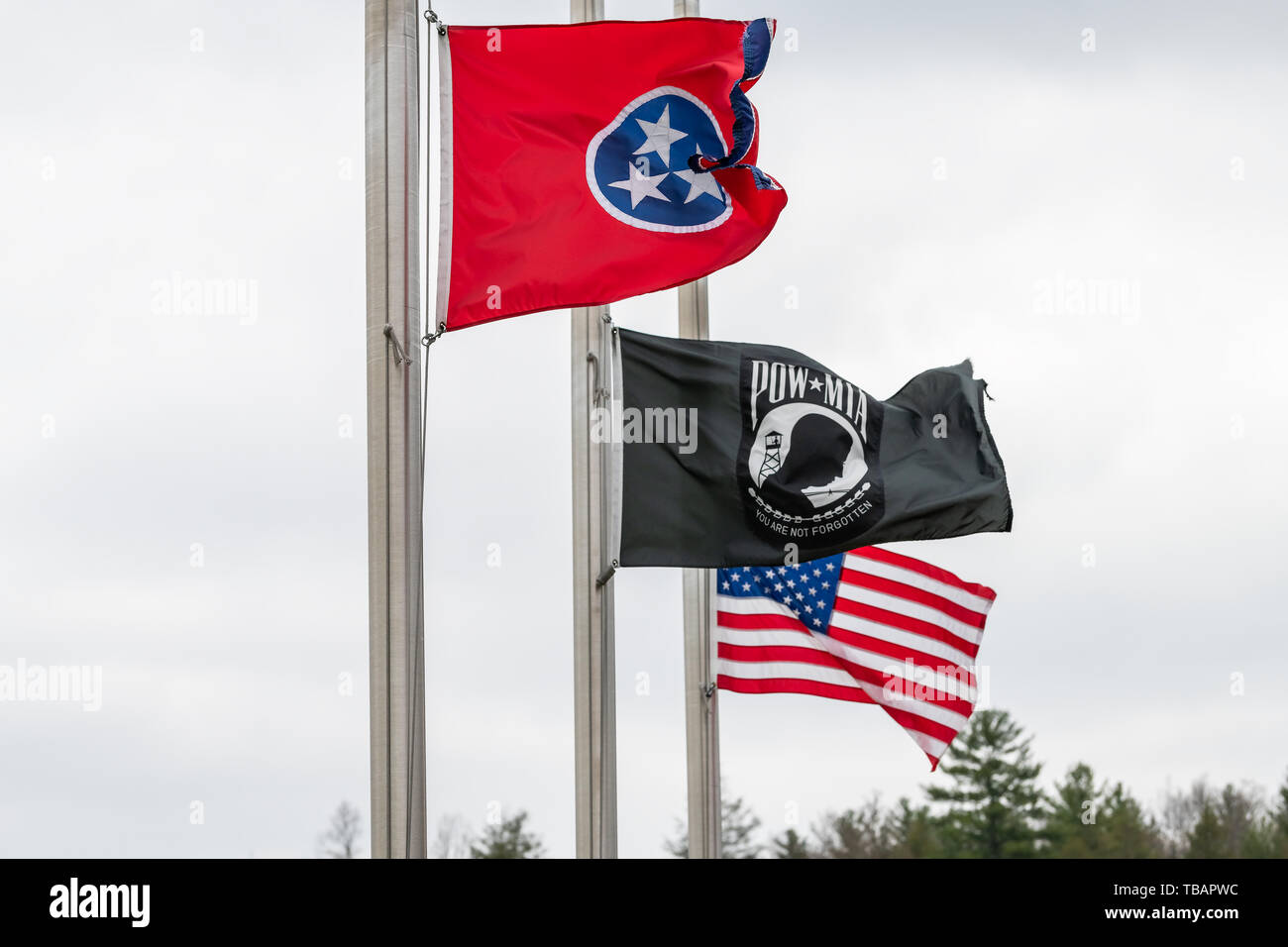 Walnut Hill, USA - 19. April 2018: In Tennessee Visitor Welcome Center, bei der die Zeile der staatlichen amerikanischen und Veteran Fahnen schwenkten im Wind Stockfoto