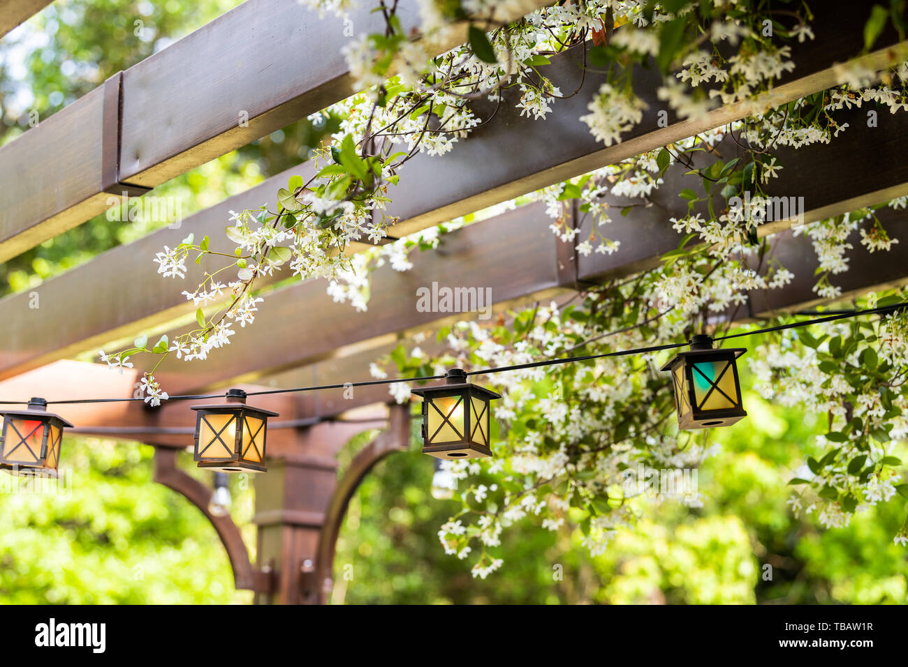 Terrasse im Frühling Garten im Hinterhof des Hauses mit Laterne Lampen leuchten hängen von Pergola Vordach Pavillon aus Holz und Pflanzen weiße Blumen Stockfoto