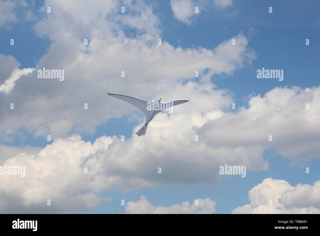 Einen Drachen in Form einer einzigen großen weißen Vogel. Einen Drachen in den Himmel zwischen den Wolken. Großer weißer Vogel in den Himmel. Stockfoto