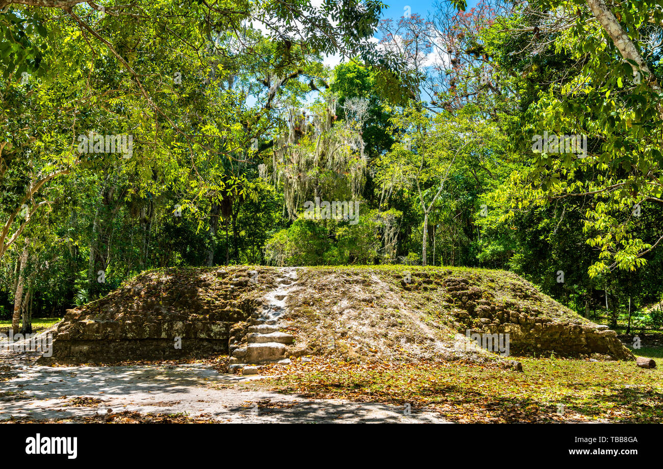 Alten Maya Ruinen von Tikal in Guatemala. Stockfoto