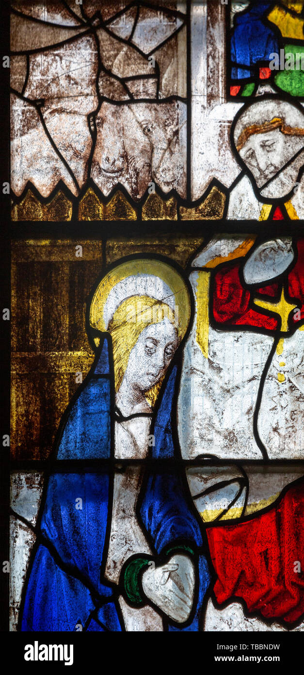 16. jahrhundert Glasfenster detail Fairford, Gloucestershire, England, UK versteckte portrait Katherine von Aragon 1485-1536 Stockfoto