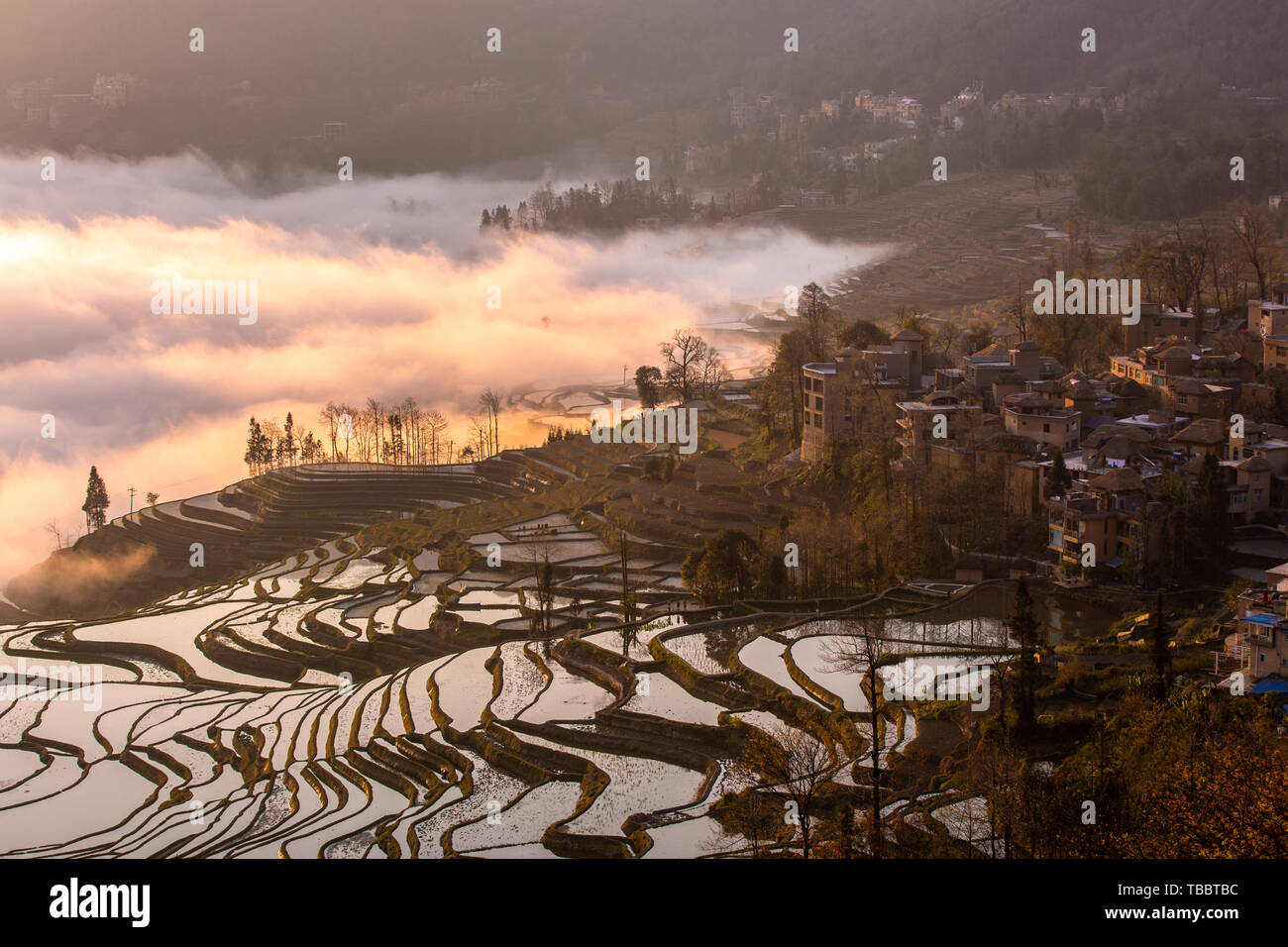 Die Yilao Berg Terrassen in Yuanyang, Yunnan am 13. März 2019 Ist der Moment der Bewässerung und die Felder. Das Meer der Wolken dämpfen auf dem Baum den Sonnenaufgang, den Sonnenuntergang Landschaft des Adlers Mund ist noch charmanter und die Liebe, die Feder und den blauen Terrassen umgeben das Dorf. Diese sind atemberaubend für Touristen. Stockfoto