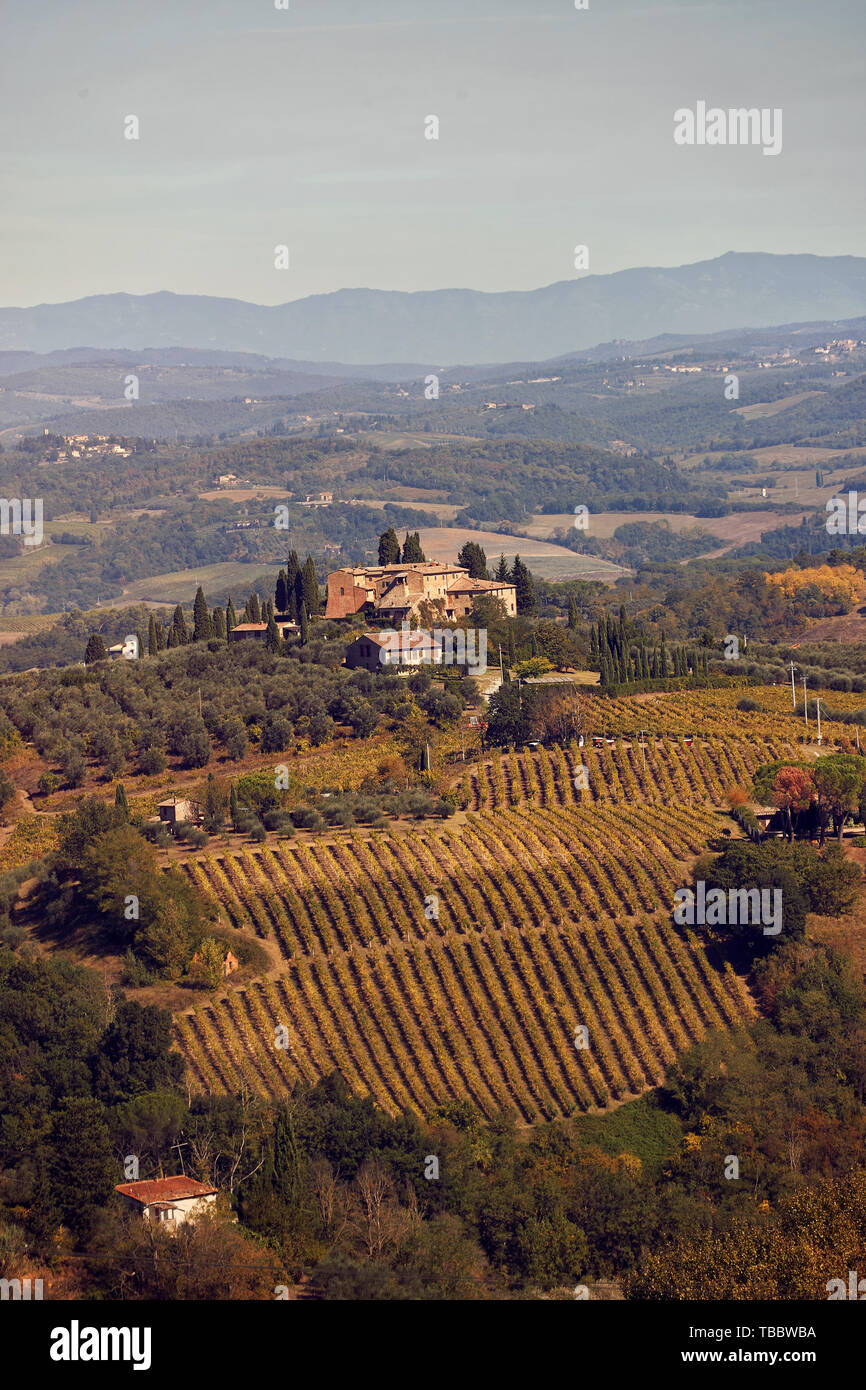 Schöne Landschaft und die schönen Landschaften der Toskana. Weinbergen und Zypressen. Italien. Stockfoto
