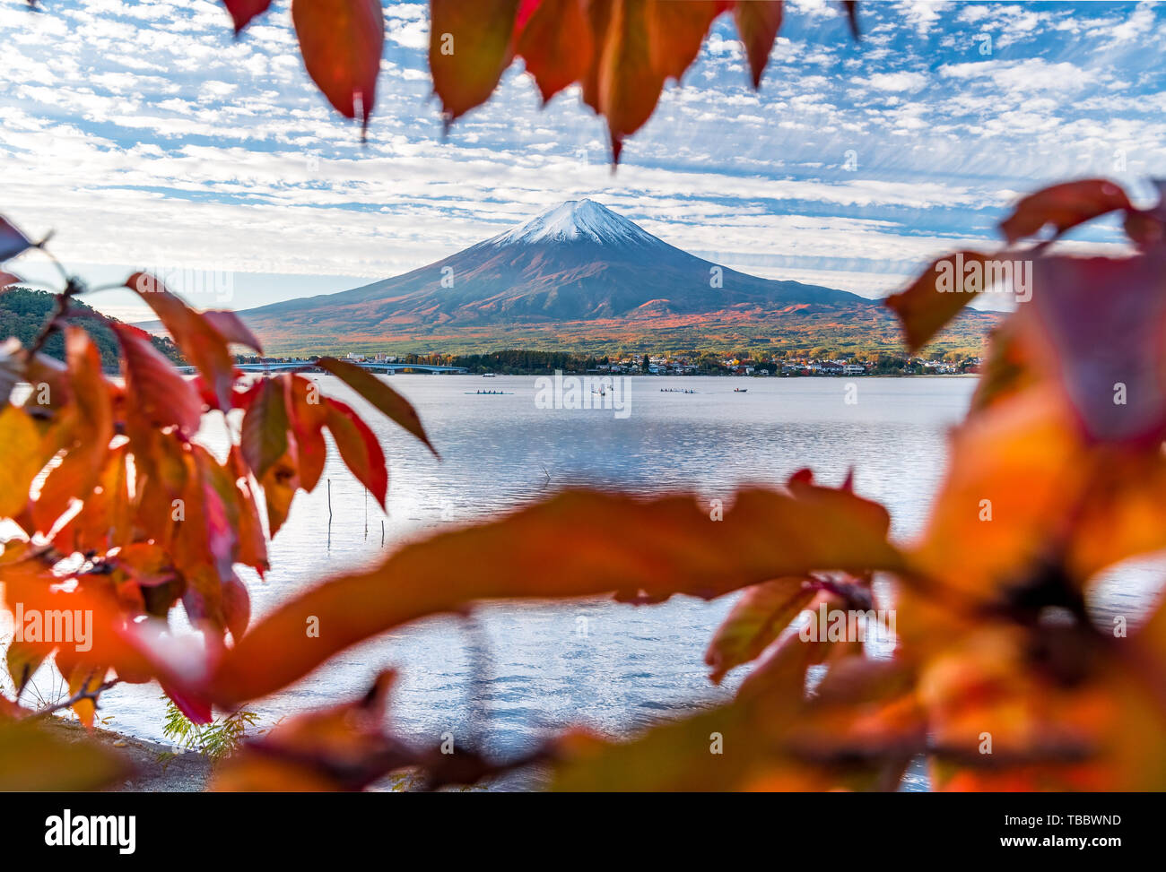 Mount Fuji und See Kawaguchiko im Herbst Blätter Stockfoto