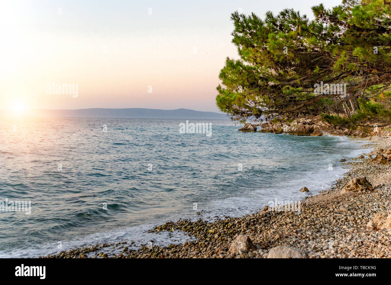 Sonnenuntergang auf dem Meer mit Felsen und Kiefer. Stockfoto