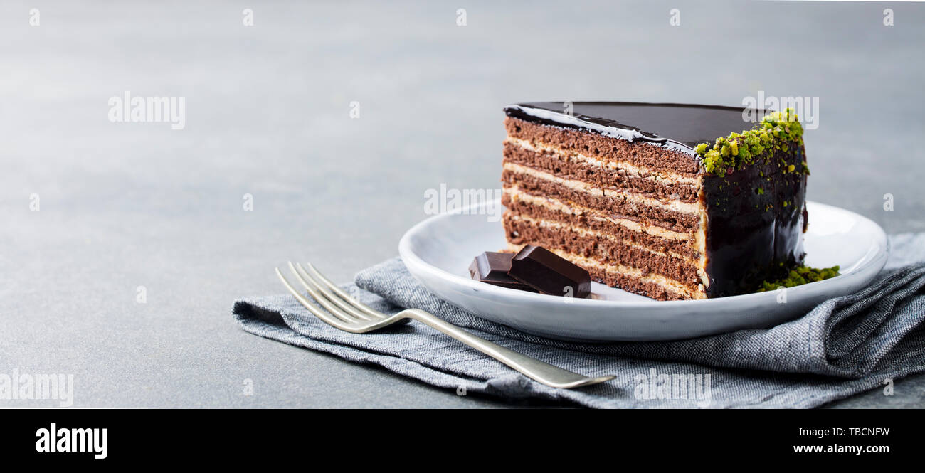 Schokoladenkuchen auf einem weißen Teller. Grauen Stein Hintergrund. Kopieren Sie Platz. Stockfoto