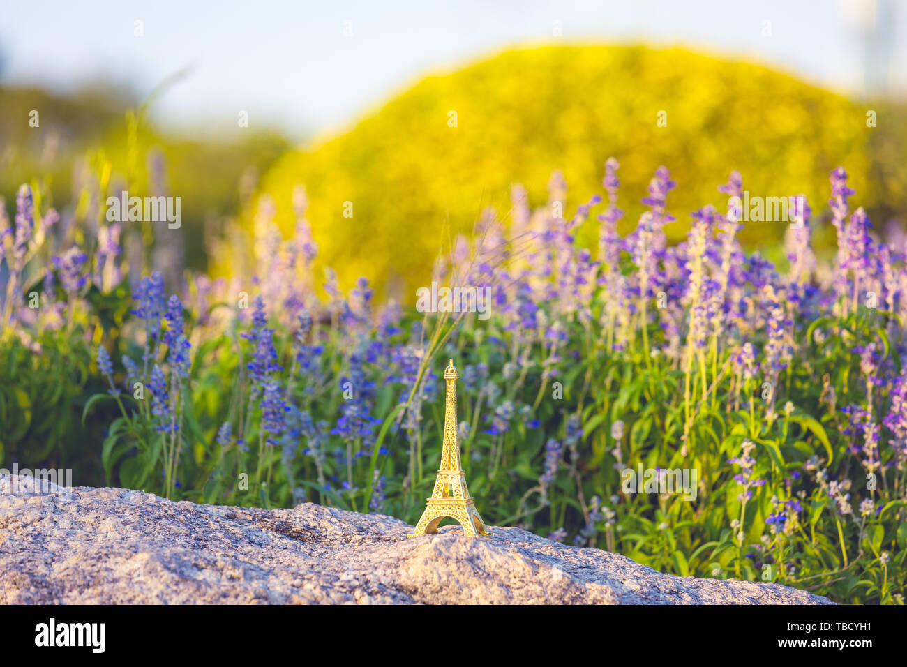 Helles Bild eines miniaturisierten Eiffelturm mit Lavendel Felder im Hintergrund am Tag. der französischen Kultur. Stockfoto