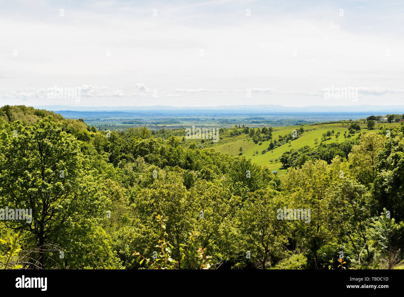 Landschaft in Kroatien mit grünem Laubwald montane Wälder und Hügel. Far View während bewölkt Frühlingstag. Stockfoto