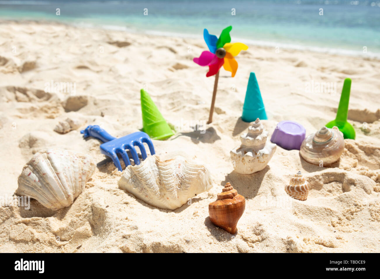 Plastikspielzeug und Muscheln im Sand am Strand Stockfoto