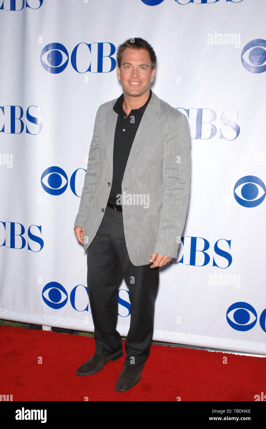 LOS ANGELES, Ca. 20. Juli 2007: NCIS-Star Michael Weatherly an der CBS Sommer Presse Tour tars Party 2007" auf dem Wadsworth Theater Großen Wiese. © 2007 Paul Smith/Featureflash Stockfoto