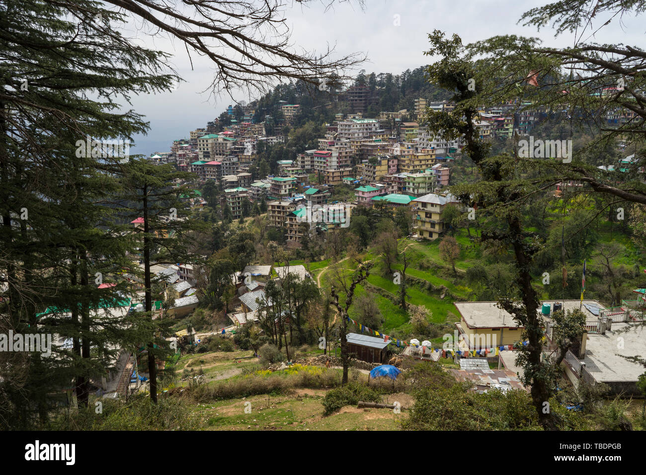 Zefat, Himachal Pradesh/Indien - 03. 18. 2019, Geistliche Stadt im Himalaya Stockfoto