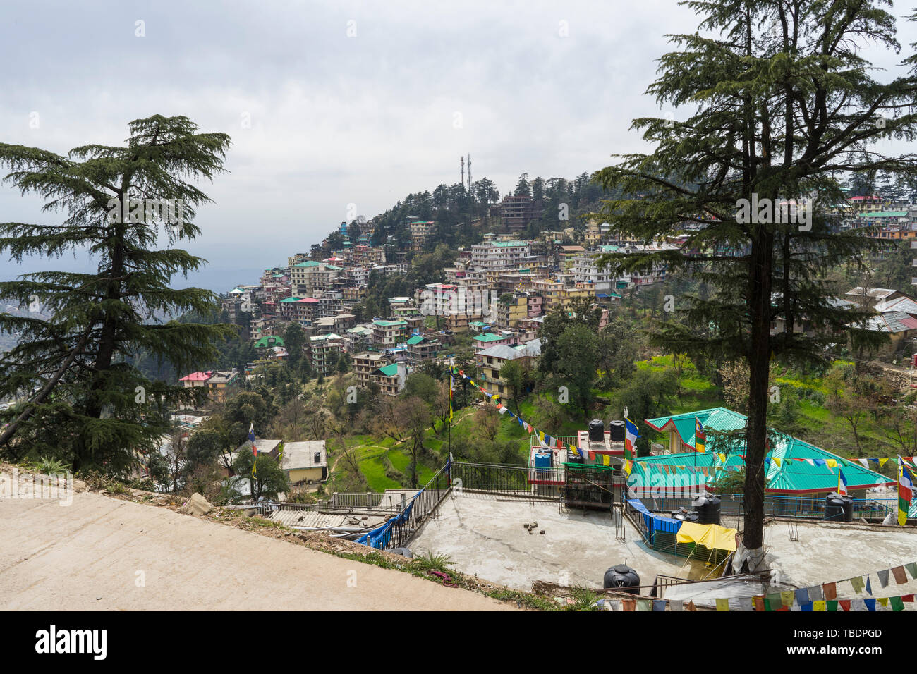 Zefat, Himachal Pradesh/Indien - 03. 18. 2019, Geistliche Stadt im Himalaya Stockfoto