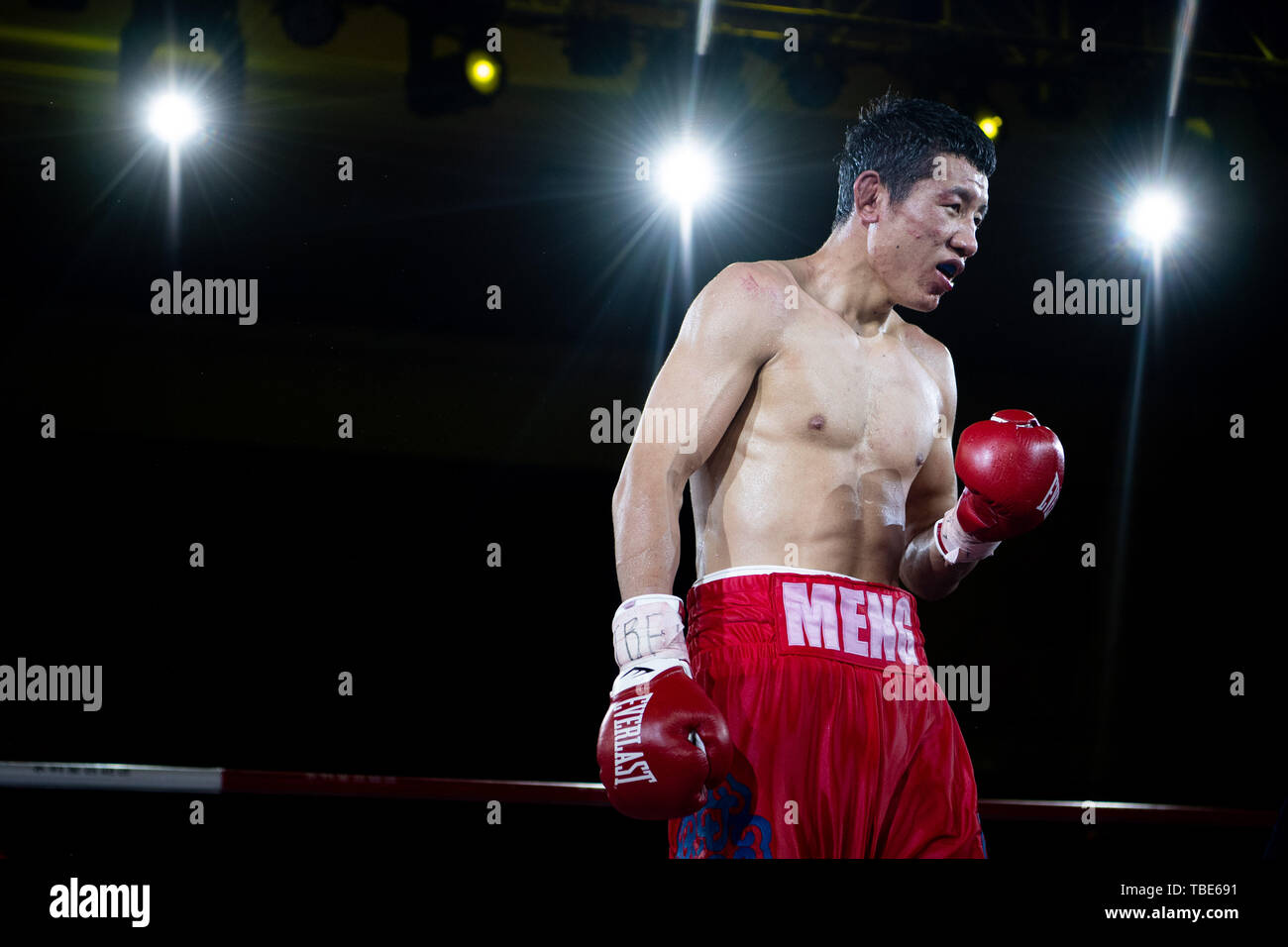 Macao. 1. Juni 2019. Meng Fanlong von China feiert nach dem Sieg über Adam Deines Deutschlands in den IBF-Titel im Halbschwergewicht Eliminator/IBF Intercontinental Light Heavyweight Titel match bei der Verteidigung 2019 IBF-Meisterschaft Super Gala in Macau, China am 1. Juni 2019. Credit: Cheong kam Ka/Xinhua/Alamy leben Nachrichten Stockfoto