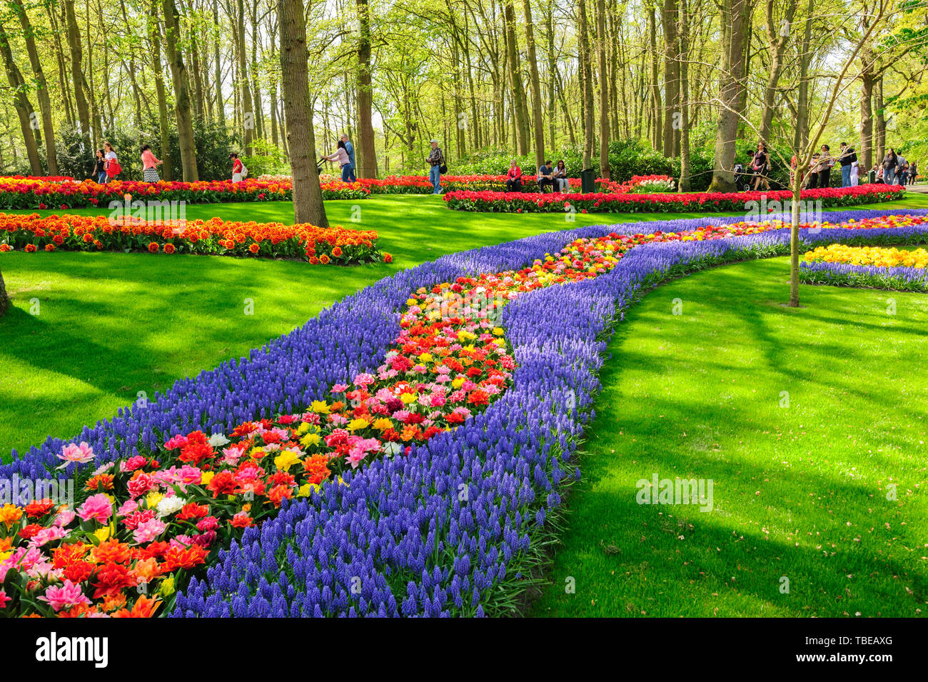 Blumenbeete der Keukenhof in Lisse, Niederlande Stockfoto