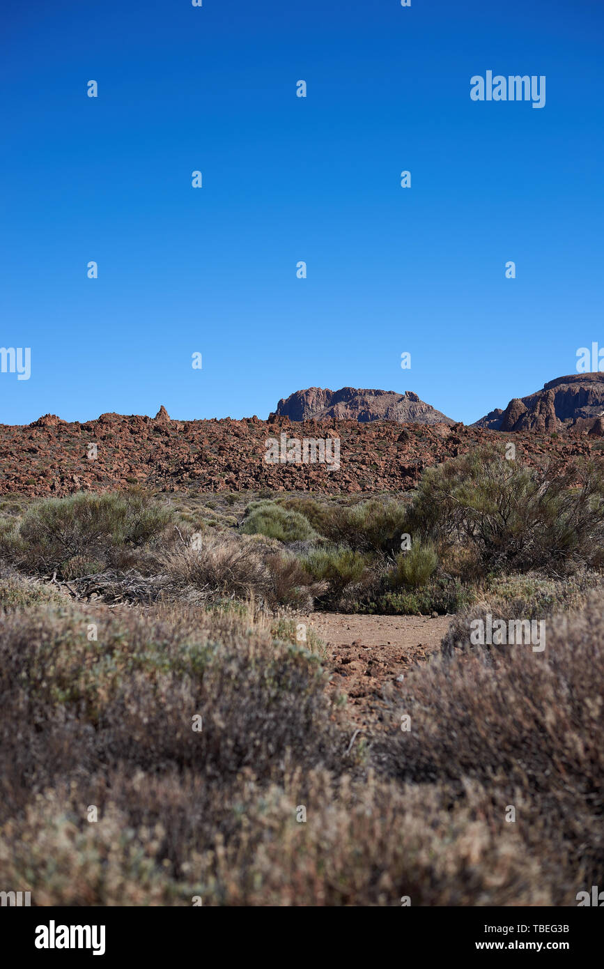 Wüstenhaft Landschaft im Teide, Teneriffa, Spanien Stockfoto