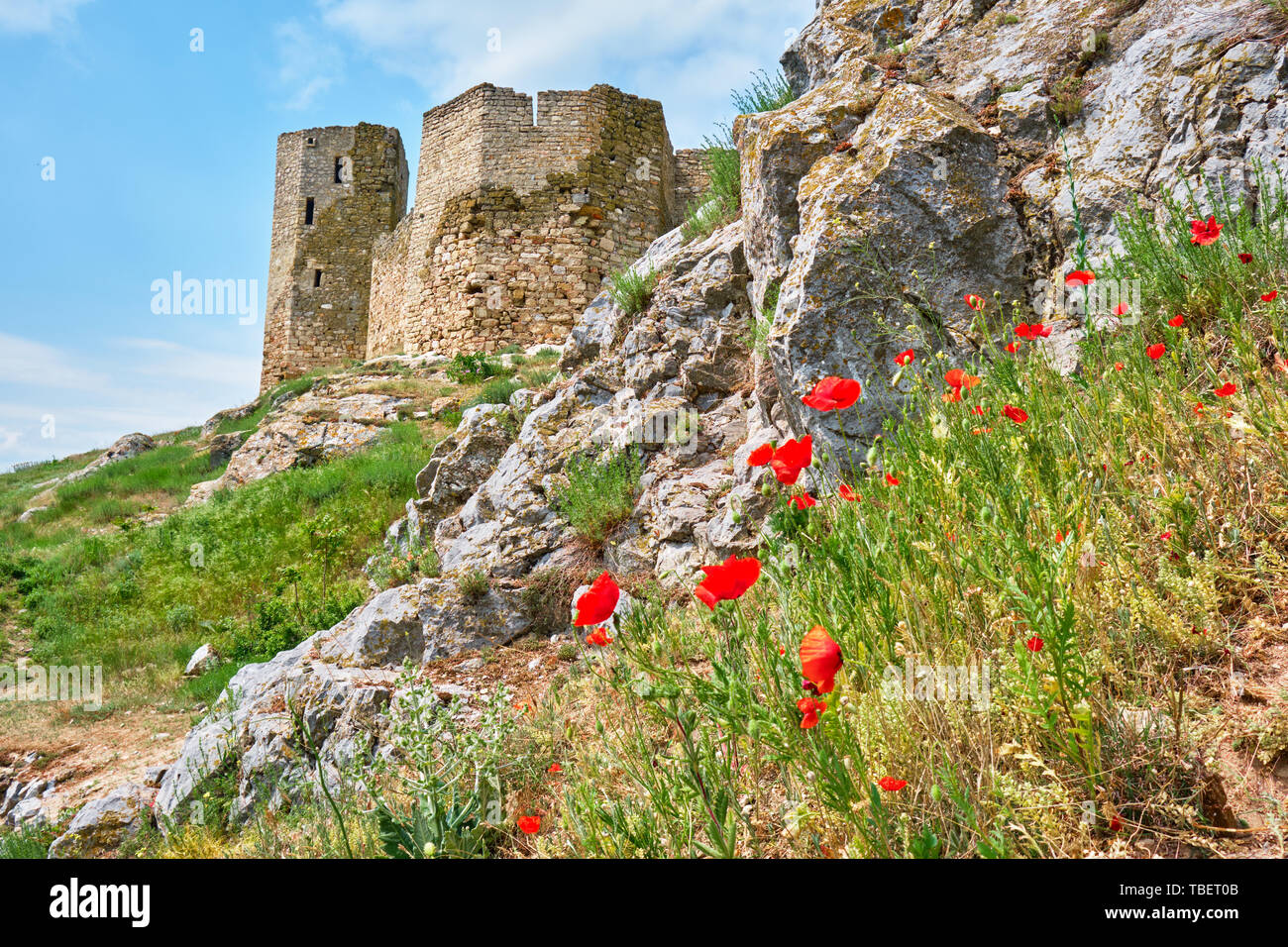 Ruinen der Enisala Festung mit roter Mohn in der Nähe der Wände. Häufig als Heracleea Festung, dies ist ein 12.-14. Jahrhundert, mittelalterliche Festung bezeichnet Stockfoto
