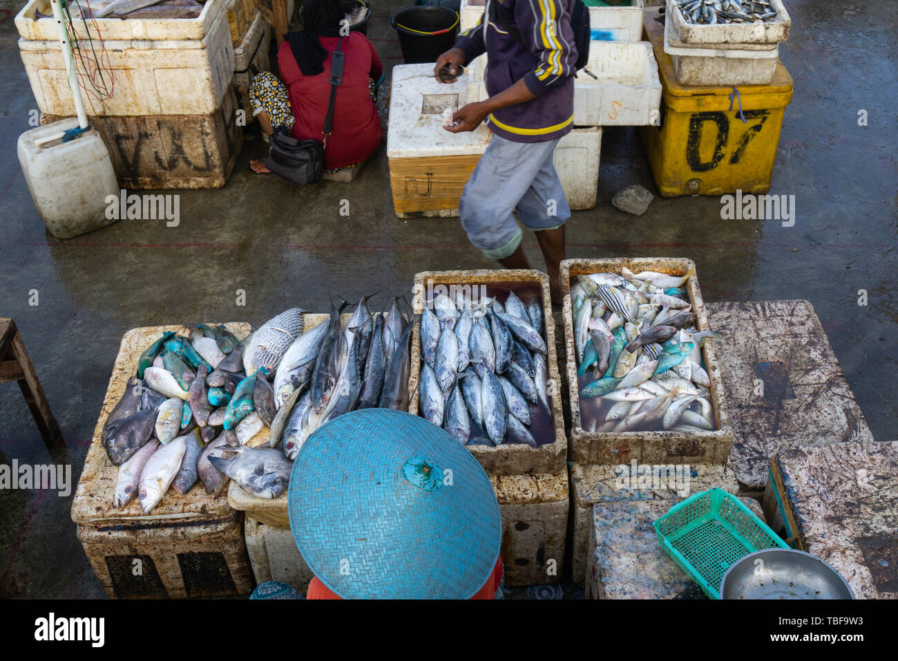 Ein Fisch Verkäufer in der Jimbaran Bali Fischmarkt. Er verkauft verschiedene Arten von frischem Fisch, der gerade gefangen wurden. Stockfoto
