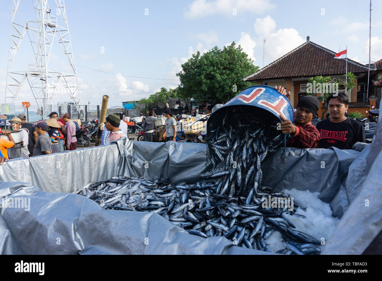 BALI/INDONESIEN - 15. MAI 2019: die Fischer ihren Fang zu bewegen, einen Fisch zu transportieren. Es gibt viele Fische, die gefangen werden, Stockfoto