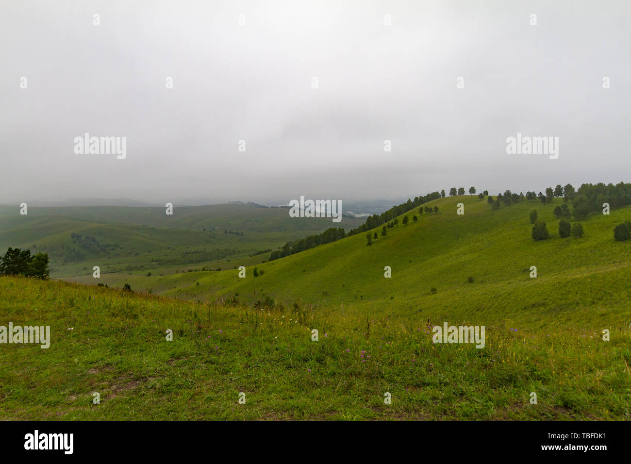 Panoramablick auf einem Berg Tal Sommer, weiches Licht, Nebel. Altai Gebirge. Stockfoto