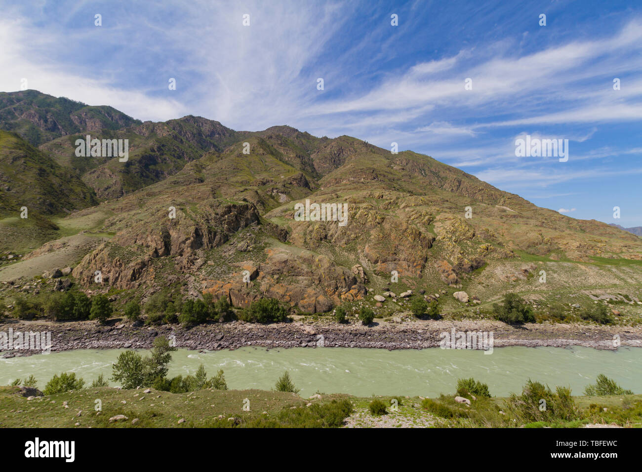 Ruhigen wasserlaufs Katun Flusses. Altai Berg Sommer sonnigen Tag. Stockfoto