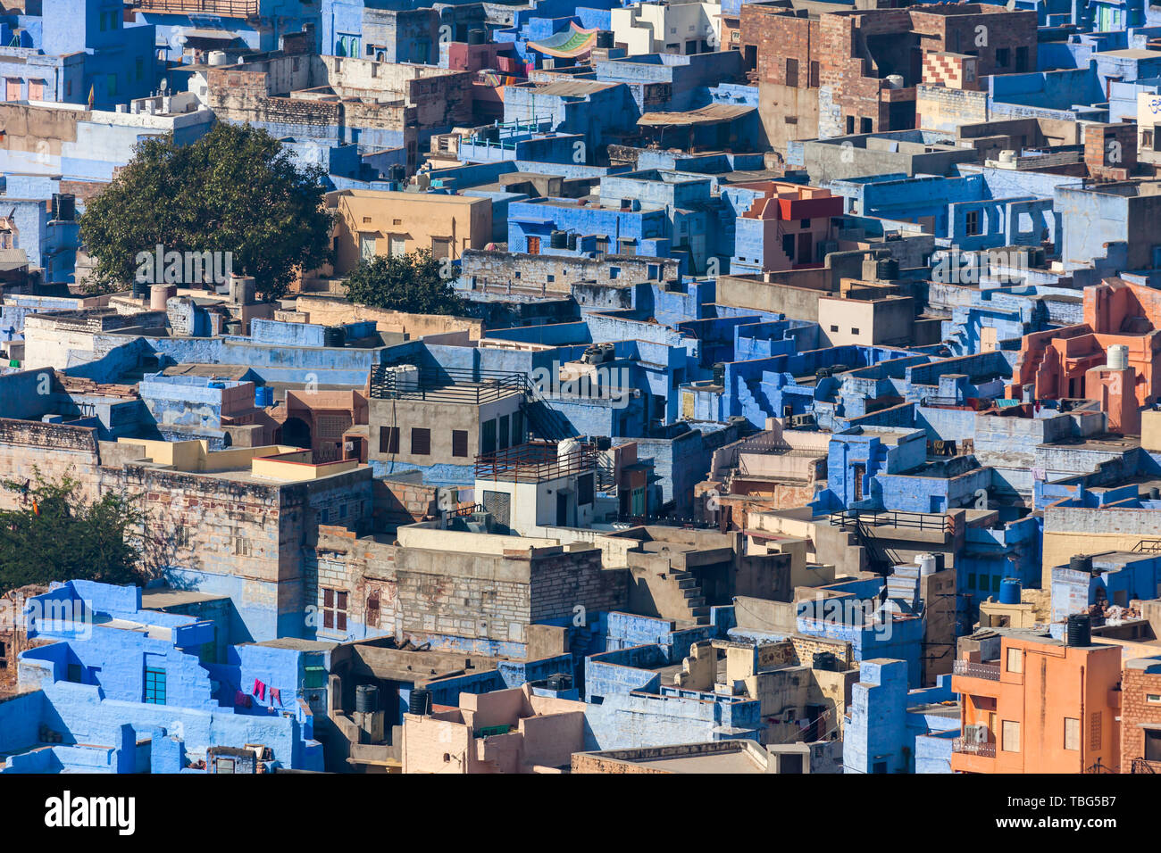 Blaue Stadt Jodhpur Stockfoto