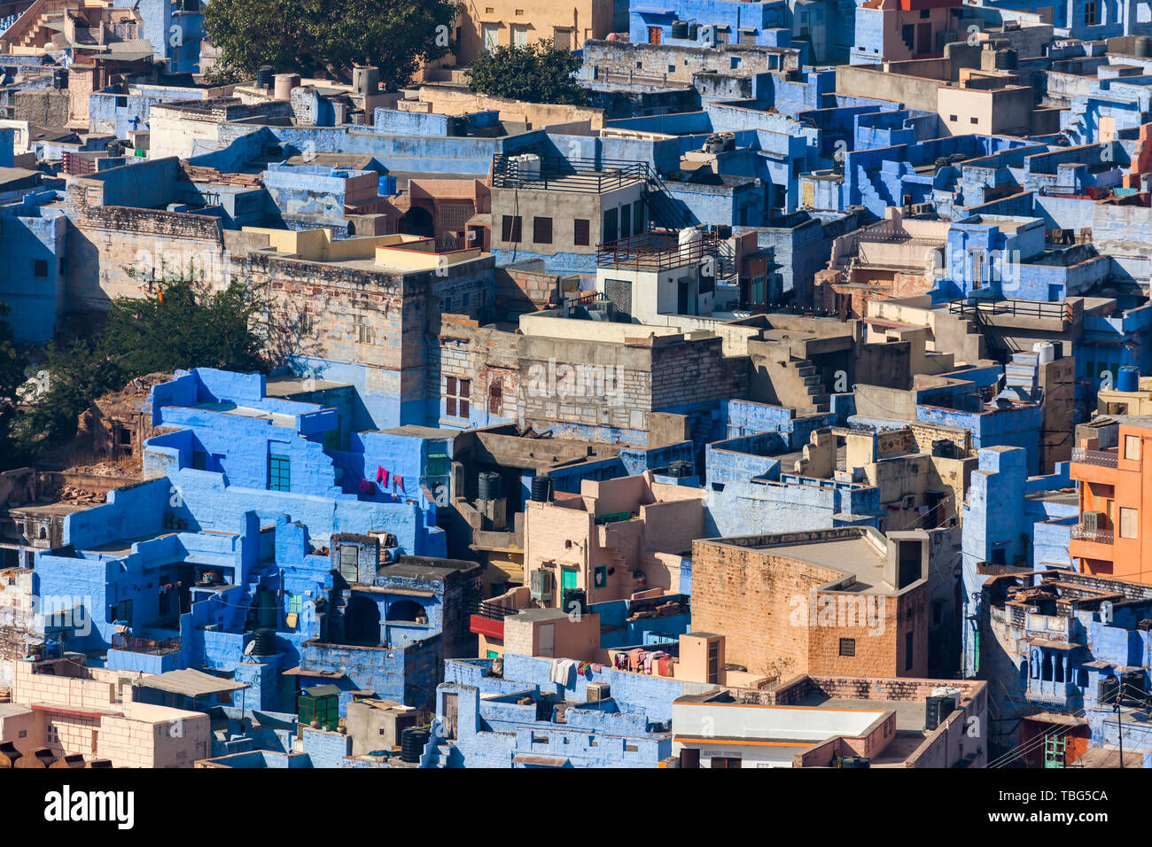 Blick auf die blaue Stadt Jodhpur. Indien Stockfoto
