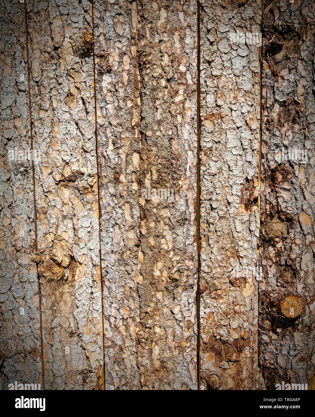 Unbearbeitete Natur raue Holz Stockfoto